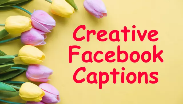 264 Creative Facebook Captions | Good Facebook Captions