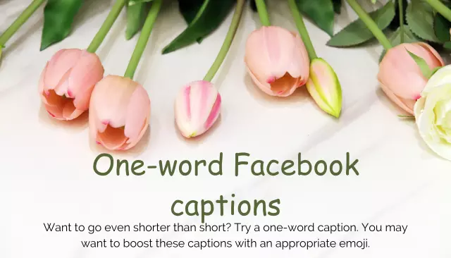 One-word Facebook captions